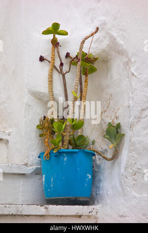 Gasse. Ostuni. Puglia. Italien.