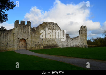 Äußeren Burgmauern von Desmond Castle in Irland. Stockfoto