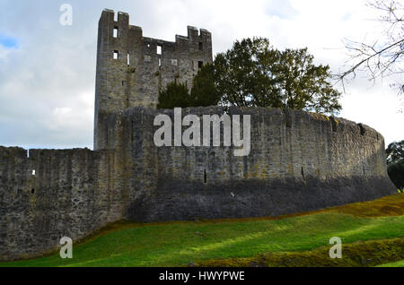 Desmond Castle und umliegenden Steinmauern in Irland. Stockfoto