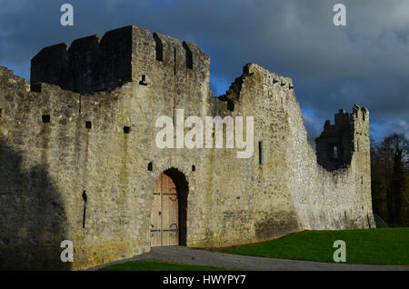 Sehr dicken Schlossmauern zu Desmond Burgruine in Irland. Stockfoto