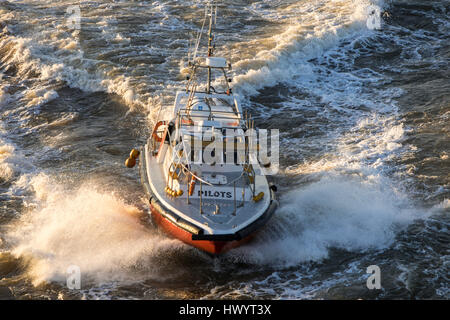 Pilot Boat, kommt zu versenden um Pilot, Montevideo, Uruguay zu sammeln Stockfoto