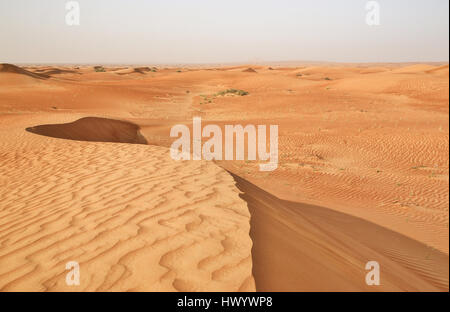 Roter Sand der Wüste in der Nähe von Dubai, Vereinigte Arabische Emirate Stockfoto