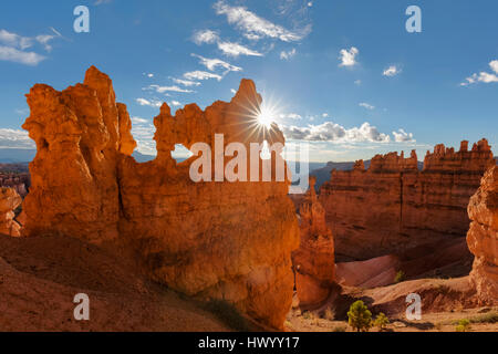USA, Utah, Bryce-Canyon-Nationalpark, Thors Hammer und andere Hoodoos im Amphitheater bei Sonnenaufgang von Navajo Loop Trail aus gesehen Stockfoto
