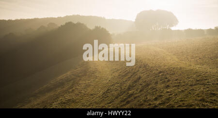 Morgen Herbst haze auf der South Downs Way an Cheesefoot Head, der Ort, an dem sich die Boomtown Sommer Festival Stockfoto