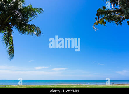 Kokospalme vor blauem Himmelshintergrund in Tanjung Aru Strand, Kota Kinabalu, Malaysia Borneo. Stockfoto