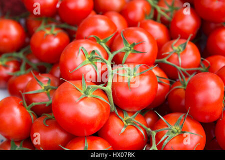 Frankreich, Nizza, Markt der Cours de Selaya, Les Ponchettes stall Verkauf Tomaten. Stockfoto