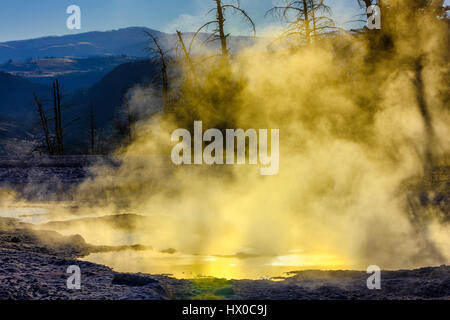 Mammoth Hot Springs im Yellowstone-Nationalpark Stockfoto