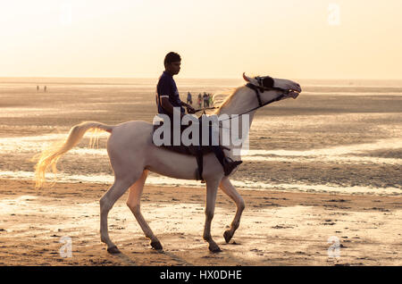 Daman, Indien - 7. Januar 2017: Ein indischer Junge Junge, sein Pferd zeigt Fahrkönnen am Jampore Strand. Stockfoto