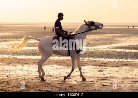 Daman, Indien - 7. Januar 2017: Ein indischer Junge Junge, sein Pferd zeigt Fahrkönnen am Jampore Strand. Stockfoto