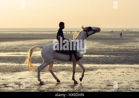 Daman, Indien - 7. Januar 2017: Ein indischer Junge Junge, sein Pferd zeigt Fahrkönnen am Jampore Strand. Stockfoto