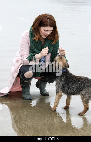 Brünette Frau streichelte alte Border Terrier Stockfoto