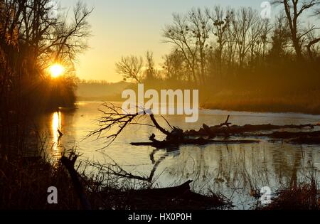 Brechen der Morgendämmerung des Flusses bei Sonnenaufgang, Schönau an der Donau, Danube-Auen Lobau, Niederösterreich, Österreich Stockfoto