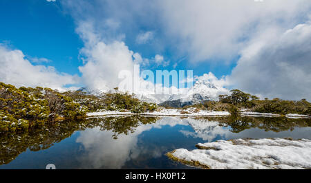 Schnee am Gipfel des Mt. Christina, Fjordland National Park, Westküste, Key Summit, Southland, Neuseeland Stockfoto