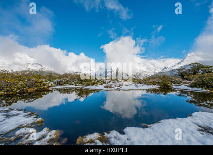 Schnee am Gipfel des Mt. Christina, Fjordland National Park, Westküste, Key Summit, Southland, Neuseeland Stockfoto