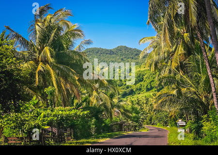 Straße durch den Dschungel auf der indonesischen Insel Sumbawa Stockfoto