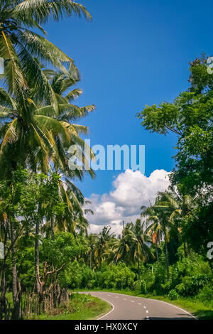 Straße durch den Dschungel auf der indonesischen Insel Sumbawa Stockfoto