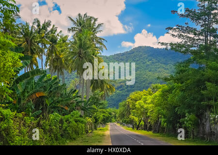 Straße durch den Dschungel auf der indonesischen Insel Sumbawa Stockfoto