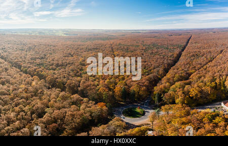 Frankreich, Allier, Tronçais Wald, Isle et Bardais, Wald im Herbst am Rond Gardien (Luftbild) Stockfoto