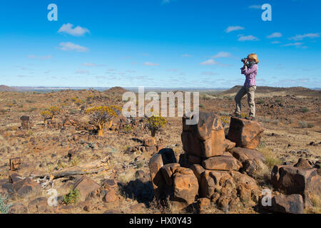 Frau macht Fotos von den Köcher Bäume Wald (Aloe Dichotoma) in der Nähe von Keetmanshoop, Namibia Stockfoto