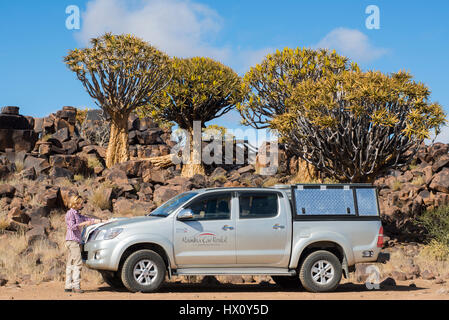 Frau liest eine Landkarte vor ein Offroad-Fahrzeug, Köcher Bäume Wald (Aloe Dichotoma) in der Nähe von Keetmanshoop, Namibia Stockfoto