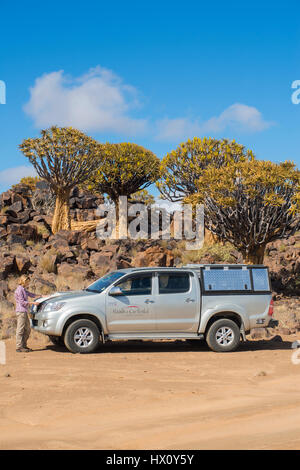 Frau liest eine Landkarte vor ein Offroad-Fahrzeug, Köcher Bäume Wald (Aloe Dichotoma) in der Nähe von Keetmanshoop, Namibia Stockfoto