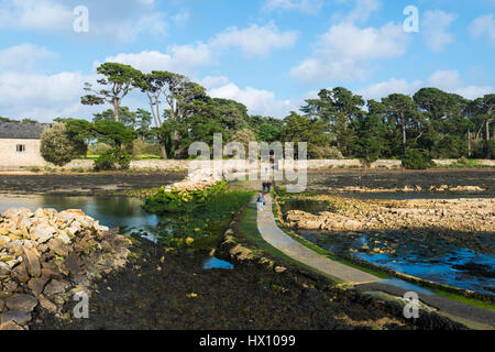 Larmor-Baden (Bretagne, Nord-West-Frankreich): Berder Insel Stockfoto