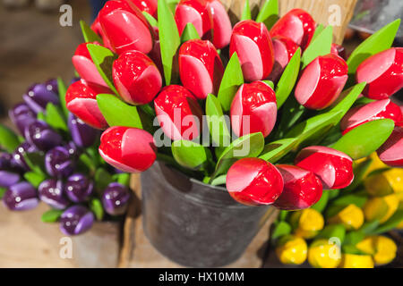 Bunte Holz Tulpen stehen in kleinen Eimer im Souvenir-Shop von Amsterdam, Niederlande Stockfoto