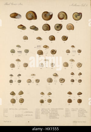 Eduard Von Marten 1890-1901-747 Stockfoto