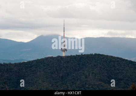 Black Mountain Tower aus Mt Ainslie, Canberra, Australien Stockfoto