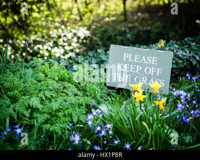 Bitte halten Sie aus dem Rasen-Zeichen unter den Frühlingsblumen in Cambridge UK Stockfoto