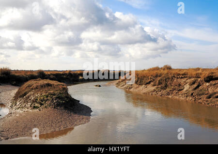 Ein Priel bei Ebbe in Salzwiesen an der North Norfolk Küste Toynbee, Norfolk, England, Vereinigtes Königreich. Stockfoto