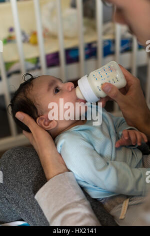 Junger Vater sitzt mit seinem Sohn in seinem Schoß. Er füttert ihn eine Flasche Milch. Stockfoto