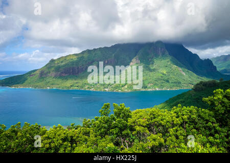 Luftaufnahme der Opunohu Bay und die Lagune auf der Insel Moorea. Französisch-Polynesien Stockfoto