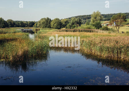 Myslecinek Forest Park für Kultur und Freizeit in Bydgoszcz (Woiwodschaft Kujawien-Pommern) - der größte Park in Polen Stockfoto