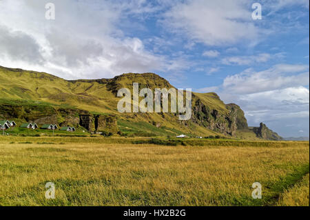 Die Felder des Vik, Island Stockfoto