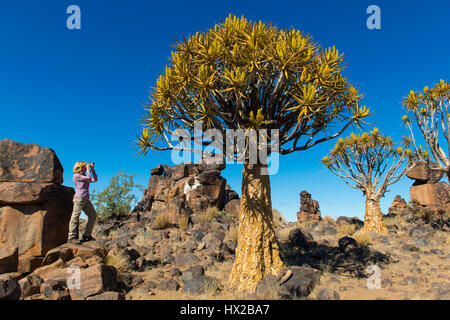 Frau macht Fotos von den Köcher Bäume Wald (Aloe Dichotoma) in der Nähe von Keetmanshoop, Namibia Stockfoto