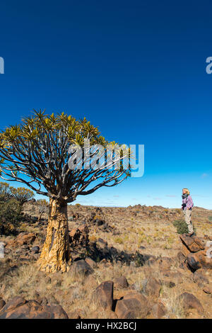 Frau macht Fotos von den Köcher Bäume Wald (Aloe Dichotoma) in der Nähe von Keetmanshoop, Namibia Stockfoto