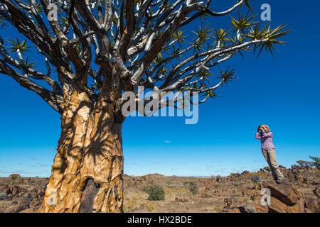 Frau macht Fotos von den Köcher Bäume Wald (Aloe Dichotoma) in der Nähe von Keetmanshoop, Namibia Stockfoto