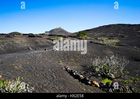 die archaische Landschaft des Timanfaya Nationalpark auf der Insel Lanzarote Stockfoto