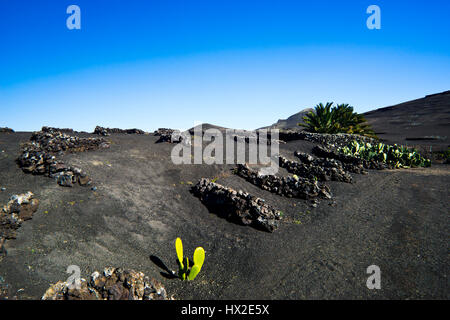die archaische Landschaft des Timanfaya Nationalpark auf der Insel Lanzarote Stockfoto