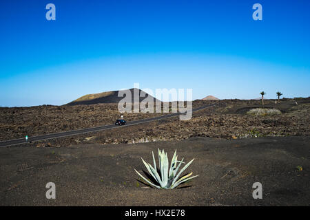 die archaische Landschaft des Timanfaya Nationalpark auf der Insel Lanzarote Stockfoto
