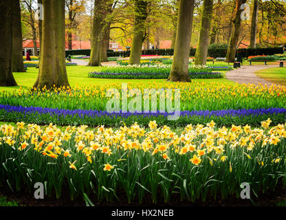 Bunte Tulpen, Narzissen und Glockenblumen Blumen Blumenbeete in einem formalen Frühlingsgarten, Retro-getönt Stockfoto