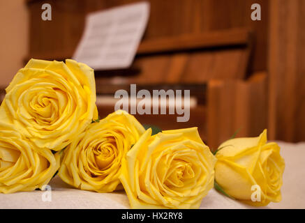 Schöne gelbe Rosen im Vordergrund links und braune Klavier und Noten auf Hintergrund. Stockfoto