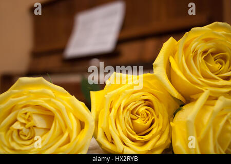 Wunderschöne gelbe Rosen im Vordergrund rechts und braune Klavier und Noten auf Hintergrund. Stockfoto