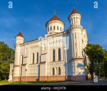 Kathedrale von Theotokos in Vilnius, Litauen Stockfoto