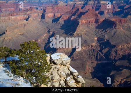 Aus Pima Point, South Rim, Grand Canyon National Park, UNESCO World Heritage Site, Arizona, USA Stockfoto