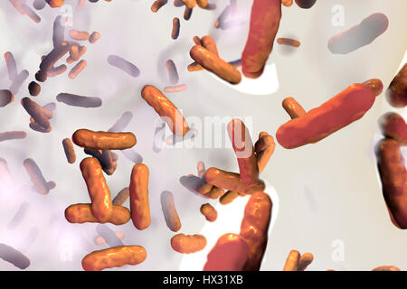 Pseudomonas Aeruginosa Bakterien im Biofilm, Computer Bild. Dies ist Gram-Negative, aerobic, enterale, Stab intramolekulare. P.aeruginosa verursacht Infektionen der Haut, Harnwege Infektionen Blutvergiftung. Es erzeugt blaugrüne Pigment Pyocyanin, die bläulich Eiter produziert durch Infektion charakterisiert. Es ist Stockfoto