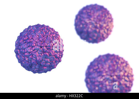 Pegivirus, früher bekannt als Hepatitis G-Virus, Computer Bild. Eine RNA (Ribonukleinsäure) Virus aus der Familie Flaviviridae verursacht Hepatitis. Stockfoto