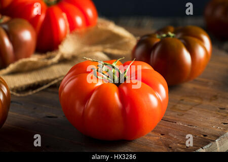 Rohe organische rot- und Brauntöne Heirloom Tomaten frisch vom Weinstock Stockfoto