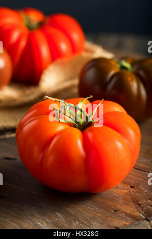 Rohe organische rot- und Brauntöne Heirloom Tomaten frisch vom Weinstock Stockfoto